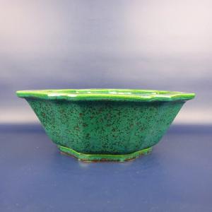 現代小鉢：月香 縁付楕円鉢 15.9cm【現】(共箱・共布 有) : 遊恵盆栽