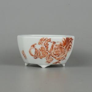 盆栽小鉢：春嘉（はるよし） 丸鉢13cm*現品 1品限り 資材 : 遊恵盆栽