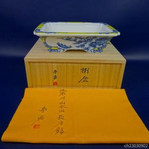 盆栽小鉢：春嘉（はるよし） 丸鉢13cm*現品 1品限り 資材 : 遊恵盆栽