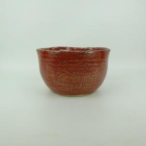 盆栽小鉢：樹晃（鴻陽） (丸鉢 11cm)*資材 : 遊恵盆栽 Yahoo!店 - 通販
