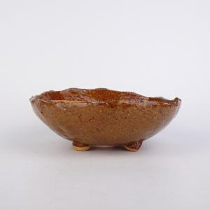 盆栽小鉢：英明（耀山） (丸鉢 9.0cm)* 資材 : 遊恵盆栽 Yahoo!店