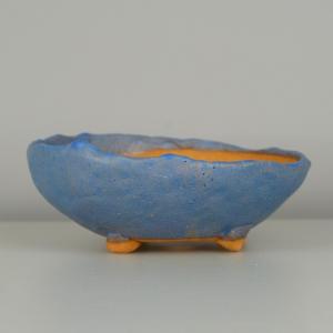 盆栽小鉢：伊藤屯洋(とんよう) 楕円鉢 13.2cm *現品もの 資材 : 遊恵