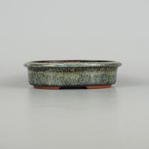 盆栽小鉢：平安虹泉 (丸鉢 10.7cm)* 資材 : 遊恵盆栽 Yahoo!店