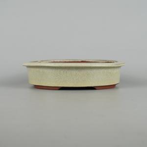 盆栽小鉢：真山（まざん）楕円鉢 13.7cm 【現品】 : 遊恵盆栽 Yahoo!店