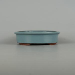 盆栽小鉢：英明（耀山） (丸鉢 9.2cm)*資材 : 遊恵盆栽 Yahoo!店