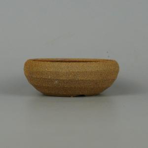 盆栽小鉢：伊藤屯洋(とんよう) 楕円鉢 13.2cm *現品もの 資材 : 遊恵