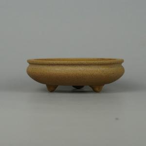 盆栽小鉢：真山（まざん）楕円鉢 13.7cm 【現品】 : 遊恵盆栽 Yahoo!店