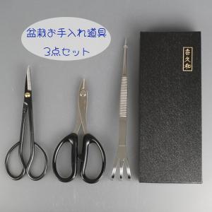 盆栽道具ケース（兼進）大 90292 *資材 : 遊恵盆栽 Yahoo!店 - 通販