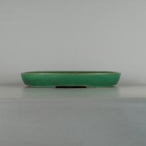 盆栽小鉢：伊藤屯洋(とんよう) 楕円鉢 13.2cm *現品もの 資材 : 遊恵