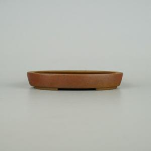 盆栽小鉢：喜美子*（正方鉢 10cm）一品限り 現品物*資材 : 遊恵盆栽