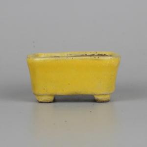 盆栽小鉢：真山（まざん）楕円鉢 13.7cm 【現品】 : 遊恵盆栽 Yahoo!店