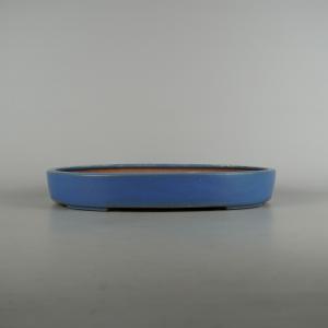 盆栽小鉢：伊藤屯洋(とんよう) 楕円鉢 13.2cm *現品もの 資材 : 遊恵