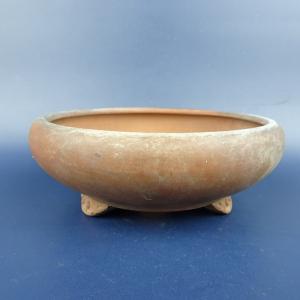 盆栽小鉢：伊藤屯洋(とんよう) 楕円鉢 13.2cm *現品もの 資材 : 遊恵