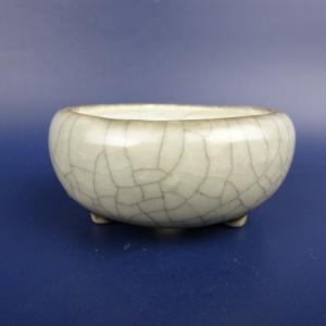 盆栽小鉢：伊藤屯洋(とんよう) 楕円鉢 13.2cm *現品もの 資材 : 遊恵