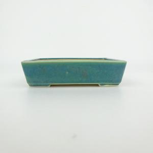 盆栽小鉢：真山（まざん）楕円鉢 13.7cm 【現品】 : 遊恵盆栽 Yahoo!店