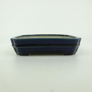 盆栽小鉢：真山（まざん）楕円鉢 13.7cm 【現品】 : 遊恵盆栽 Yahoo!店