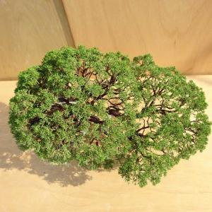 盆栽 真柏 樹高 約80cm しんぱく Jun...の詳細画像4