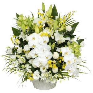 お供え 法要 四十九日 命日 一周忌 三回忌 花 アレンジメント Ff 026 花家族店生花翌日配達蒼天 そうてん