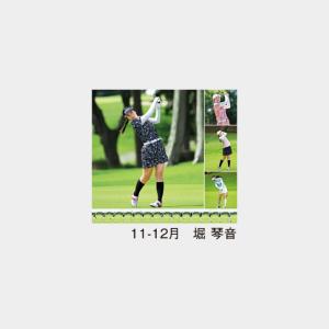 名入れカレンダー 2027 壁掛けMH-12 ...の詳細画像4