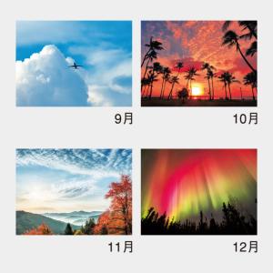 名入れカレンダー 2027 壁掛けNK-134...の詳細画像4