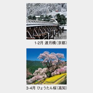 名入れカレンダー 2027 壁掛けNK-403...の詳細画像2