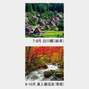 名入れカレンダー 2027 壁掛けNK-403...の詳細画像3