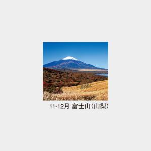 名入れカレンダー 2027 壁掛けNK-403...の詳細画像4
