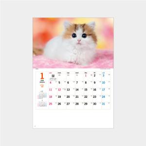 かわいい動物カレンダーの商品一覧 通販 Yahoo ショッピング