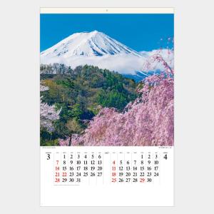 名入れカレンダー 2027 壁掛けSB-250 フィルム 富士山（世界文化遺産）（SG-546） 100冊