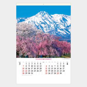 名入れカレンダー 2027 壁掛け SB-253...の商品画像