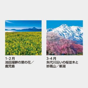 名入れカレンダー 2027 壁掛け SB-25...の詳細画像2