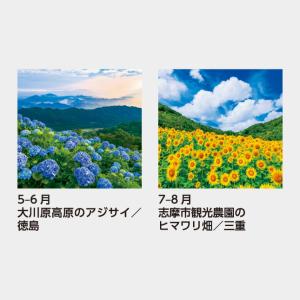 名入れカレンダー 2027 壁掛け SB-25...の詳細画像3