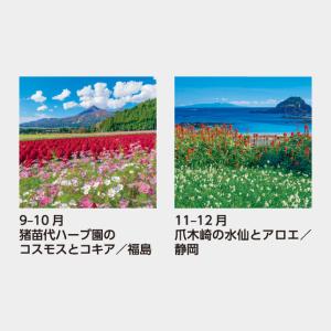 名入れカレンダー 2027 壁掛け SB-25...の詳細画像4