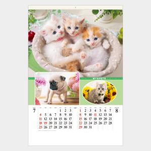 名入れカレンダー 2027壁掛けSB-270 フィルム マイペット（SG-543） 100冊
