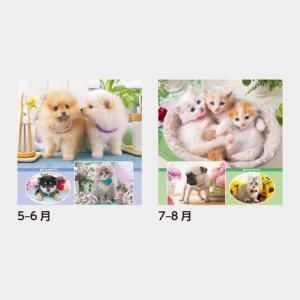 名入れカレンダー 2027壁掛けSB-270 ...の詳細画像3
