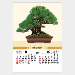 名入れカレンダー 2027 壁掛け名TD-624 トーハン・ＤＸ 盆栽 フイルム 100冊