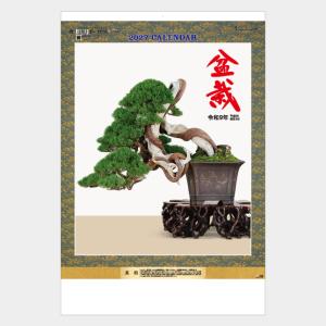 名入れカレンダー 2027 壁掛け名TD-62...の詳細画像1