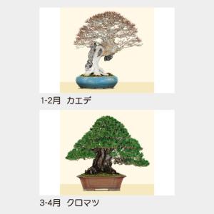 名入れカレンダー 2027 壁掛け名TD-62...の詳細画像2