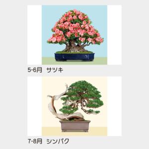 名入れカレンダー 2027 壁掛け名TD-62...の詳細画像3