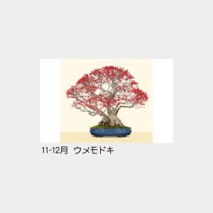 名入れカレンダー 2027 壁掛け名TD-62...の詳細画像4