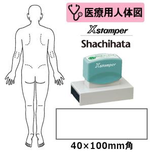 シヤチハタ 医療用人体図 全身（男性背面） Xスタンパー 角型印 40100号 ( 印面サイズ:40×100mm ) 医療・病院・看護師・ナース・整体師 はんこ スタンプ｜hanko-king