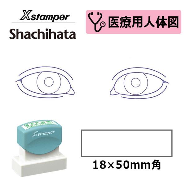 シヤチハタ 医療用人体図（眼1） Xスタンパー 角型印 1850号 ( 印面サイズ:18×50mm ...