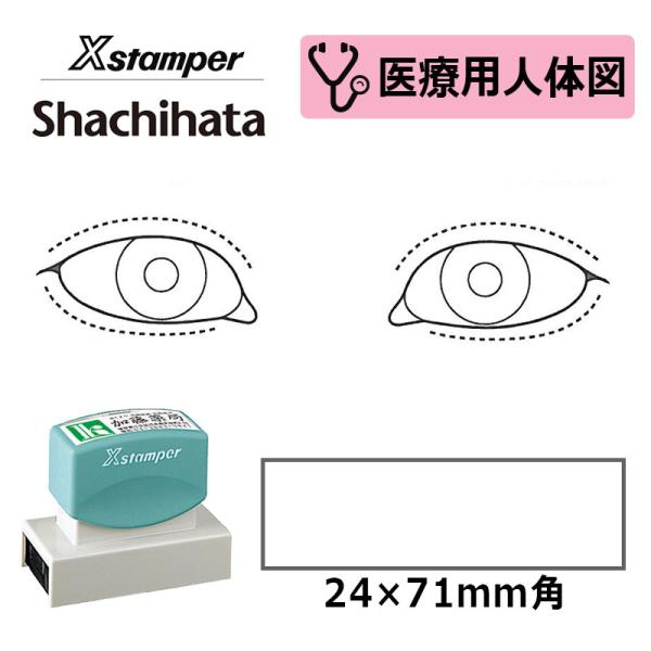 シヤチハタ 医療用人体図（眼2） Xスタンパー 角型印 2471号 ( 印面サイズ:24×71mm ...