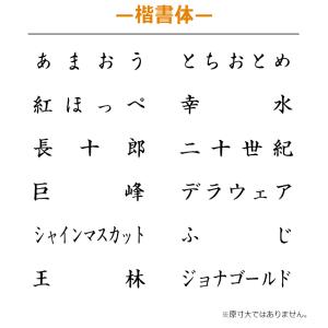 果物品種表示用スタンプ ゴム印 角型印(印面サ...の詳細画像2