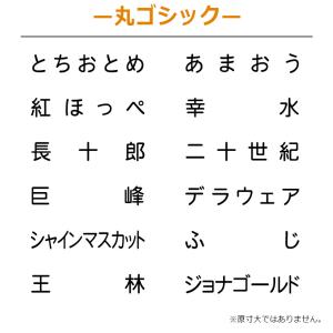 果物品種表示用スタンプ ゴム印 角型印(印面サ...の詳細画像3