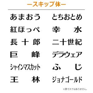 果物品種表示用スタンプ ゴム印 角型印(印面サ...の詳細画像4