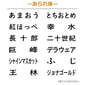 果物品種表示用スタンプ ゴム印 角型印(印面サ...の詳細画像5