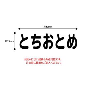 シヤチハタ 角型印 果物品種表示用スタンプ キ...の詳細画像2