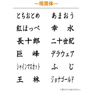シヤチハタ 角型印 果物品種表示用スタンプ キ...の詳細画像3