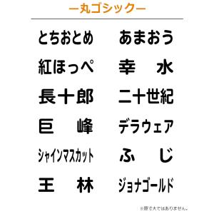 シヤチハタ 角型印 果物品種表示用スタンプ キ...の詳細画像4